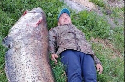 Ульяновский рыбак поймал в Волге сома весом больше 100 кг