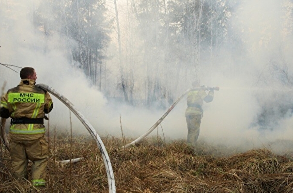 Пожар возник из-за грозы в Мордовском заповеднике