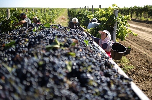 ВТБ профинансирует винодельческую компанию в Дагестане на сумму до 200 млн рублей
