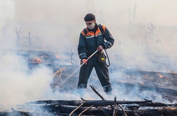 Число природных пожаров на Ямале за сутки сократилось почти в два раза