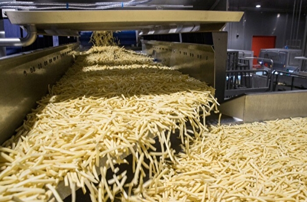 Завод по производству картофеля фри под Тулой планирует выпускать до 100 тыс. тонн продукции в год - власти