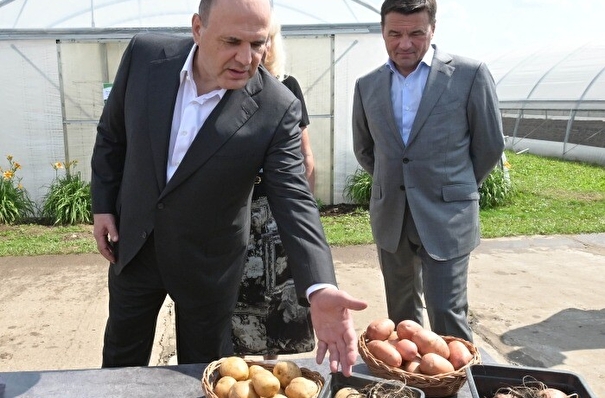 Мишустин: развитие семеноводства обеспечит продуктовую безопасность России