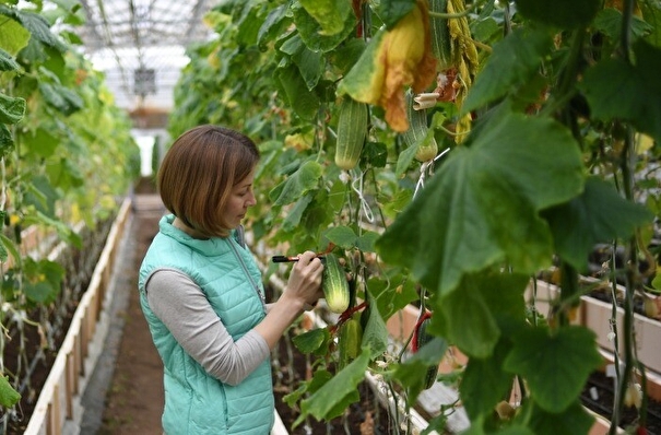 Томская область планирует наращивать обеспеченность овощами за счет роста посевов и строительства хранилищ