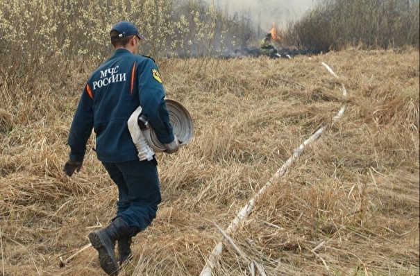 Все лесные пожары в Хабаровском крае ликвидированы - глава МЧС