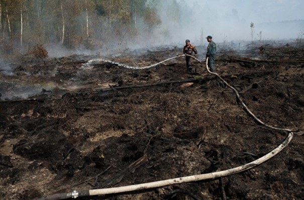 Площадь торфяного пожара во Владимирской области сократилась до 3 га