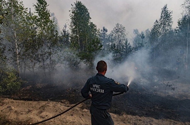 Власти Рязанской области рассчитывают остановить распространение огня в северном направлении уже в среду