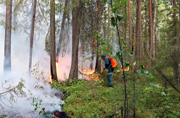 Режим ЧС вновь введен в районе Югры из-за лесных пожаров