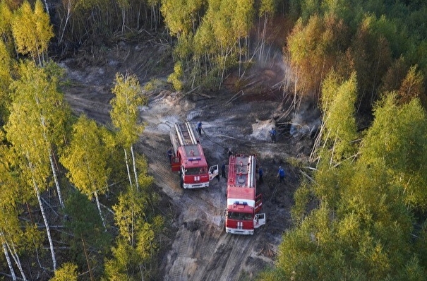 Верховые лесные пожары под Рязанью ликвидированы - МЧС