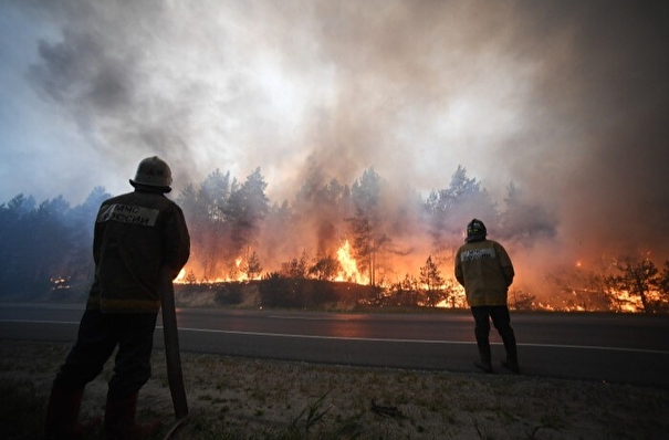 Оставшаяся кромка природного пожара в Рязанской области будет ликвидирована встречным палом - врио губернатора