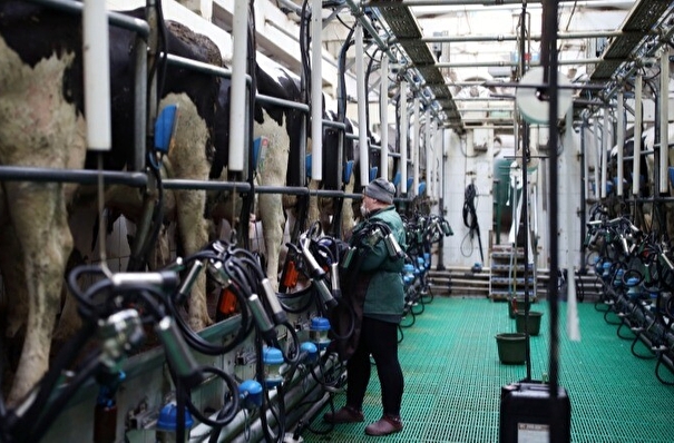 Первая роботизированная ферма введена в строй в Иркутской области на 1 тыс тонн молока в год