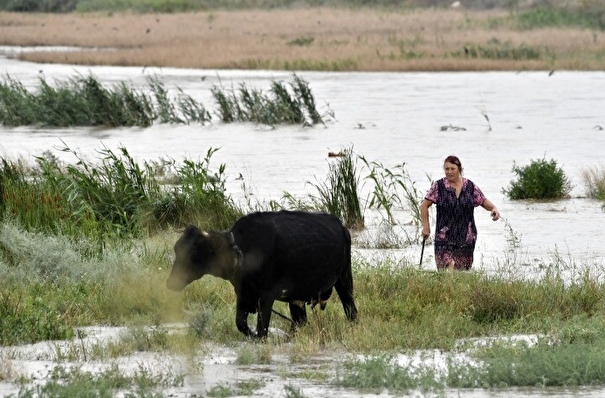 Костромская область расширила возможности бесплатной аренды земель для фермеров