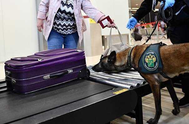 Багаж начали маркировать в главном аэропорту Камчатки после старта эксперимента по вывозу красной икры