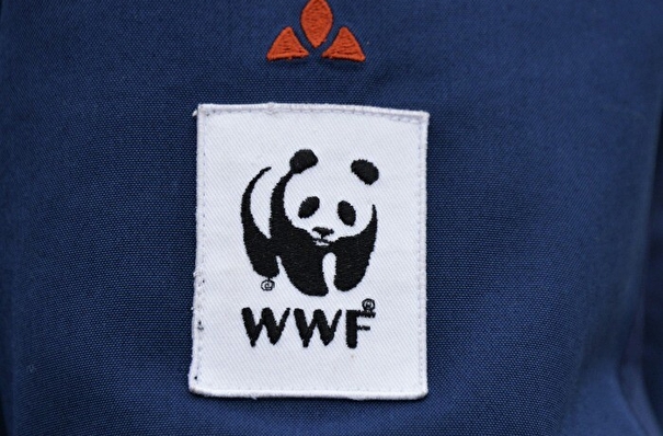 Власти Чукотки расторгли соглашение с WWF России - ОНФ