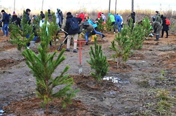Глава Ингушетии: за 10 лет в республике необходимо высадить 1 млн деревьев