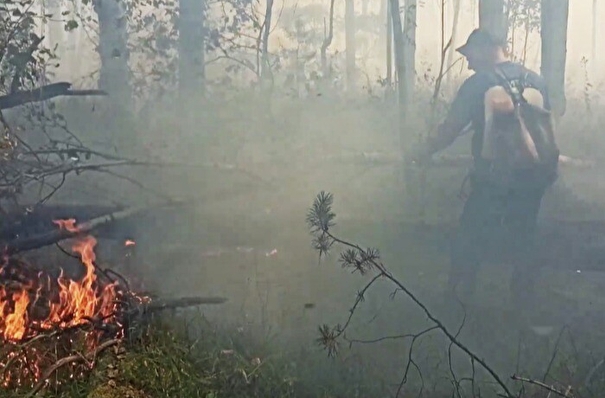 Площадь природных пожаров в Свердловской области сократилась более чем в четыре раза