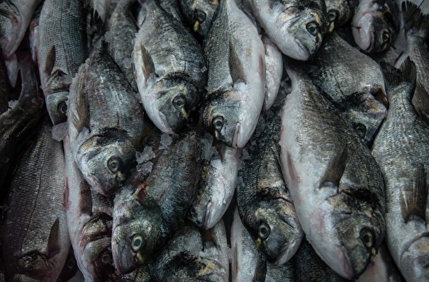 Приморский Россельхознадзор обнаружил повышенное содержание ртути в предназначенной на экспорт партии рыбопродукции