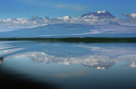 Все потенциально опасные вулканы на Камчатке должны быть охвачены мониторингом - эксперт