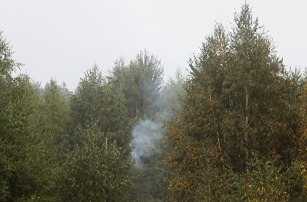 Власти Новосибирской области усилят группировку беспилотников для мониторинга лесных пожаров