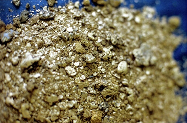 Самородное золото почти на 4 млн рублей обнаружено у жителя Приамурья