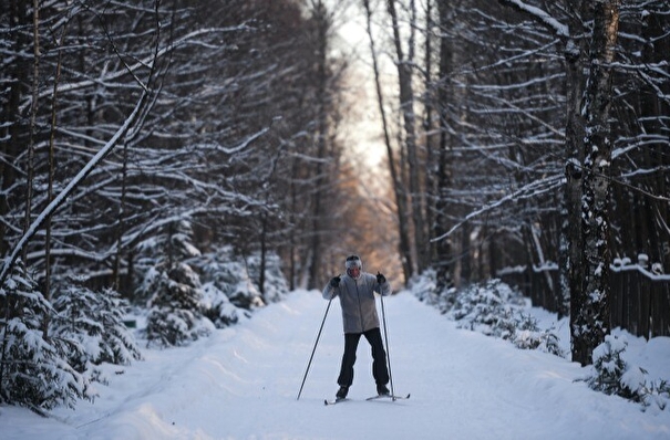 В московских парках работают 67 лыжных трасс