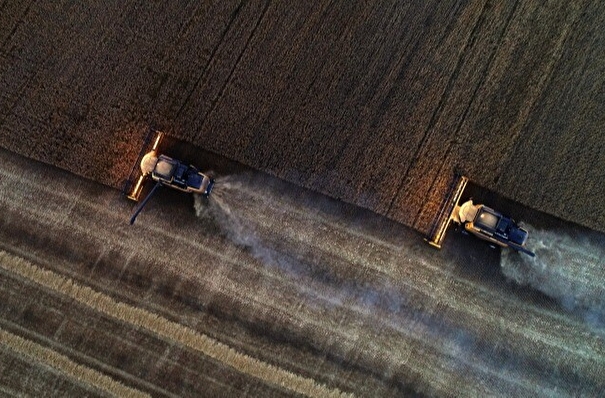 Рязанские аграрии в 2022г ввели в сельхозоборот более 20 тыс га земли, посевные площади превысили 1,1 млн га