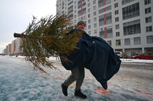 Москвичи сдали на переработку более 14 тыс. новогодних елей
