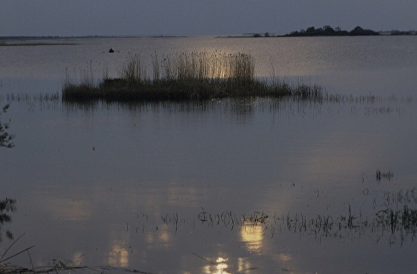 Около 4 км побережья Чудского озера в Псковской области расчистят к 2025 году