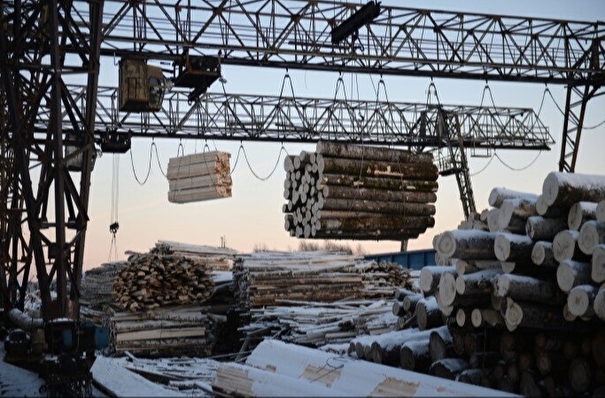 Объёмы заготовки леса на Дальнем Востоке уменьшаются, отрасль нуждается в поддержке - Трутнев