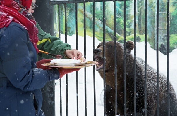 Медведей в пермском зоопарке угостят блинами в Масленицу