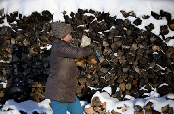 Сельские жители Красноярского края стали чаще жаловаться на рост цен на дрова - омбудсмен региона