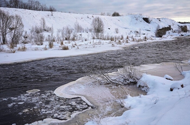 Росприроднадзор обследует реки в Ленинградской области после сообщений о мертвой форели