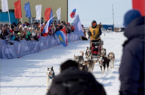 Победитель камчатской гонки на собачьих упряжках "Берингия-2023" получил грант на 3,5 млн рублей
