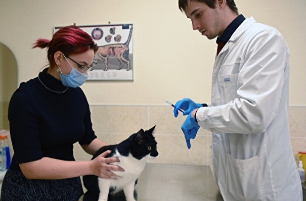 Подъемную выплату для молодых ветеринаров при трудоустройстве в селах ввели в Томской области