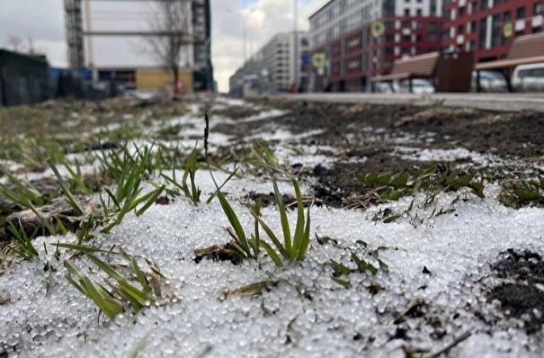 В умеренных широтах европейской части России началась весна