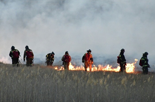 Ландшафтный пожар на площади 10 тыс. кв. м тушат в степи вблизи поселка в Хакасии