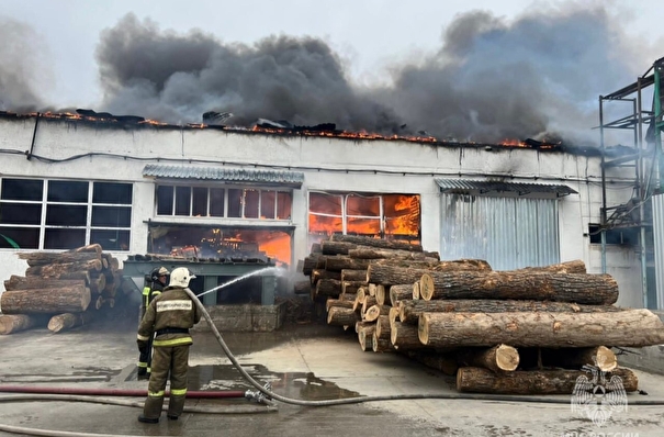 Площадь пожара в деревоперерабатывающем цехе в Приморье достигла 12 тыс. кв метров, в тушении задействованы два пожарных поезда