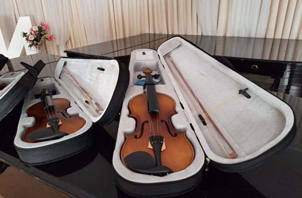 Конфискованные на границе в Приморье скрипки передали колледжу искусств