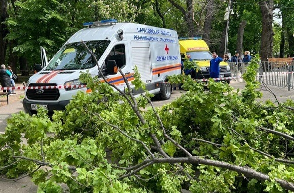Женщина и ребенок погибли в результате падения дерева в парке Саратова