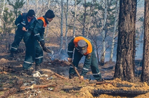 Фактов умышленных поджогов, переросших в крупные природные пожары в Курганской области, нет - ГУ МВД