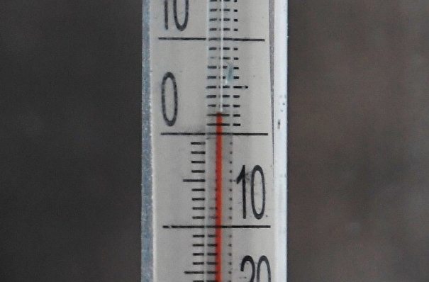 Скачок температуры на 20 градусов ожидается в Новгородской области