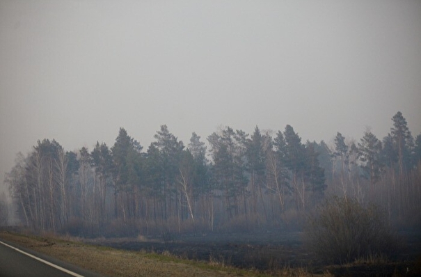 Специалисты ликвидировали 13 природных пожаров в Свердловской области