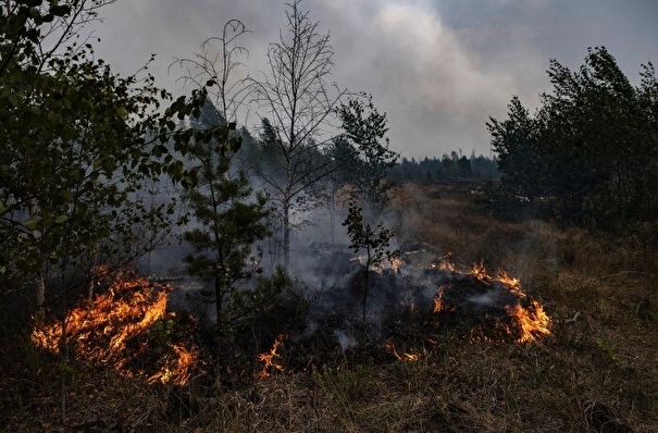 Режим ЧС объявлен в районе ХМАО, где сильный ветер осложняет тушение лесных пожаров
