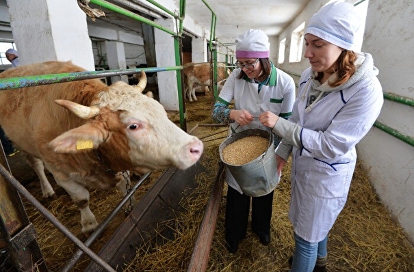 Новосибирская область из-за засушливой погоды планирует закупать корма в других регионах