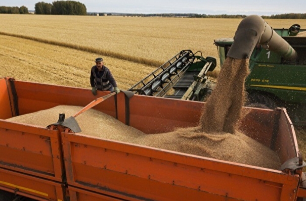 Красноярский край с начала 2023г экспортировал в 2,5 раза больше зерновых и масличных культур