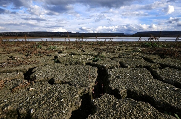 Режим ЧС из-за засухи может быть введен на всей территории Новосибирской области