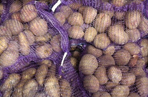 Россельхознадзор в Приморье запретил ввоз более 70 тонн зараженного картофеля из КНР