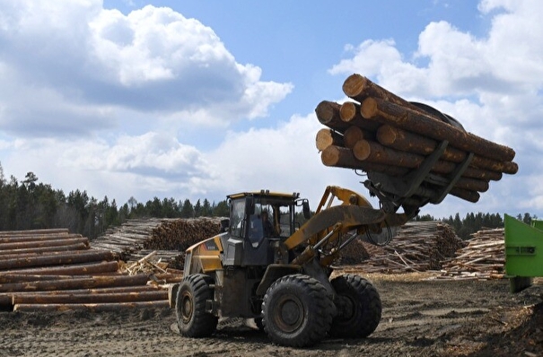 Объем незаконных рубок древесины вдвое сократился на Урале - Рослесхоз