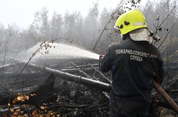МЧС: площадь природных пожаров в регионах РФ превышает 1 млн га