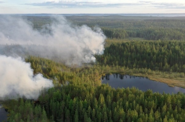 Более 20 тыс. га леса горит на севере Красноярского края