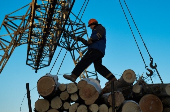 Лесопромышленники Тверской области получат компенсацию до 80% затрат на транспортировку при экспорте через порты Северо-Запада